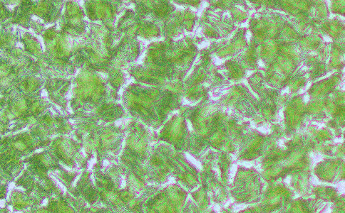 金相分析 金相分析