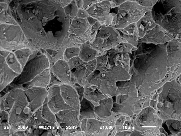 斷口C區形貌 斷口C區形貌